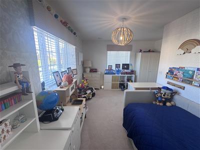 Picture 17